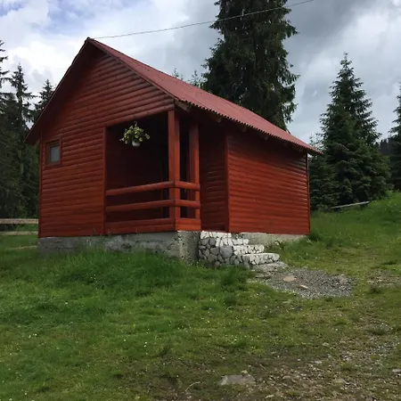 Popas Turistic * Padis