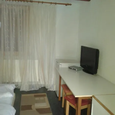 Guest house Popas Turistic *